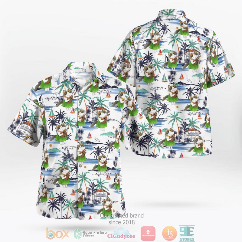 Ragdoll_Cat_Hawaii_3D_Shirt
