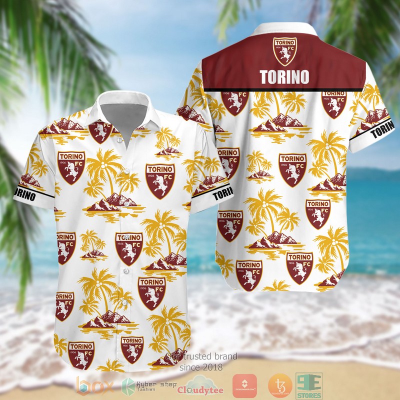 Torino_Italy_Coconut_Hawaii_3D_Shirt