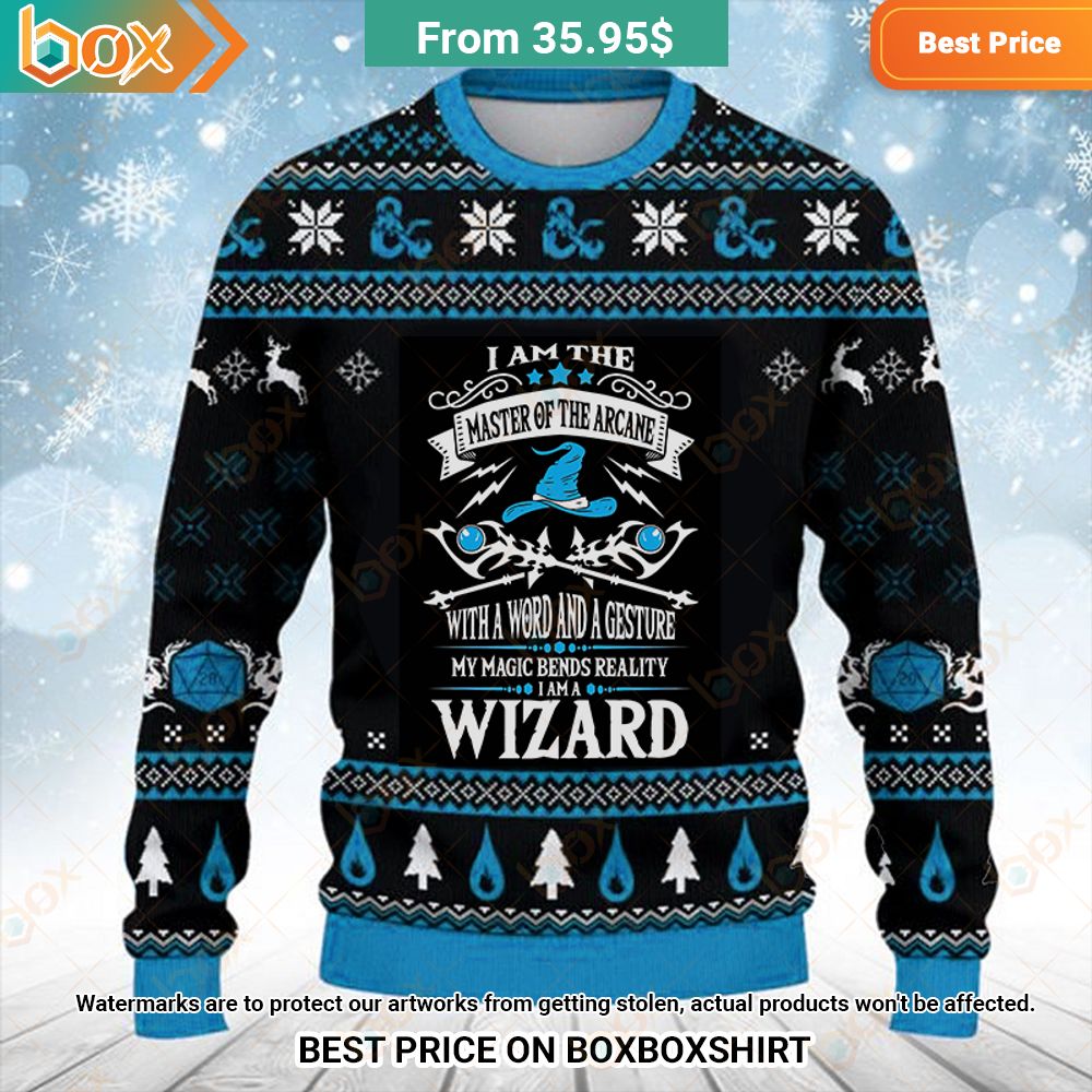 I am the Master of the Arcane Wizard DnD Sweatshirt Cool look bro