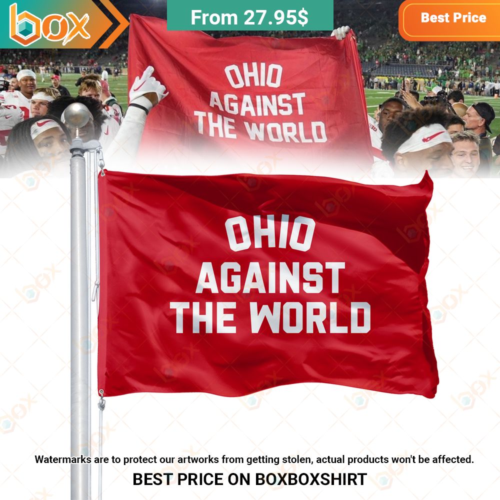 Ohio Against The World Flag Two little brothers rocking together