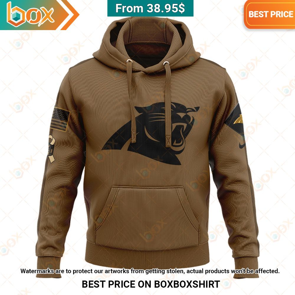 Carolina Panthers Salute to Service Veterans Pullover Hoodie It is too funny