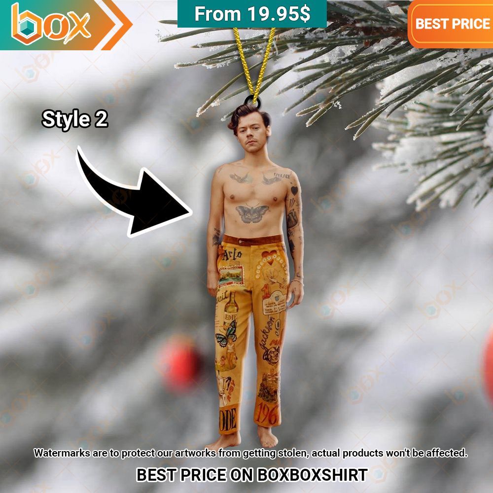 Harry Styles Merry Christmas Ornament Have you joined a gymnasium?