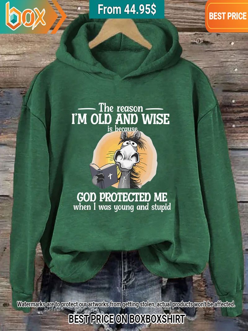 The reason I'm Old And Wise Is Because God Protected Me Donkey Hoodie