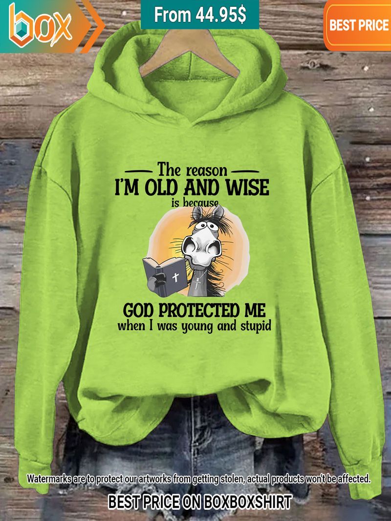 The reason I'm Old And Wise Is Because God Protected Me Donkey Light Green Hoodie