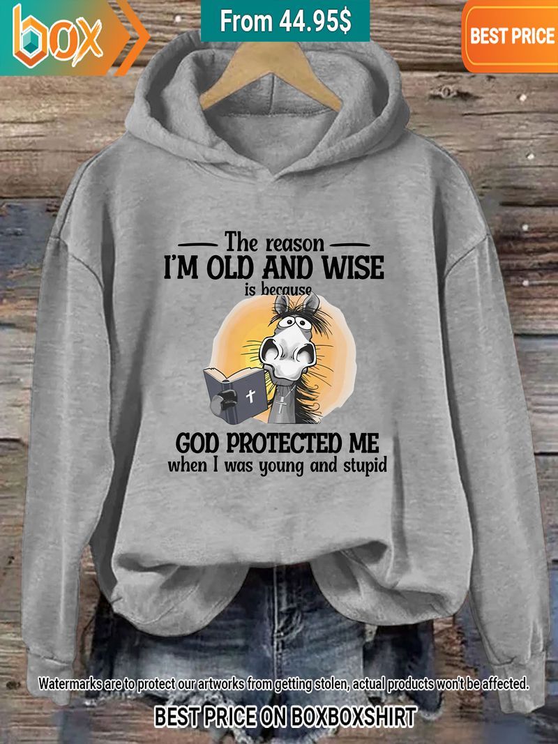 The reason I'm Old And Wise Is Because God Protected Me Donkey Hoodie2