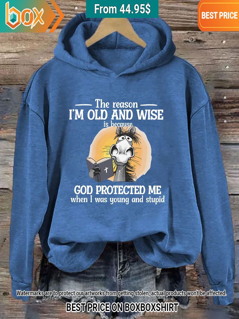 The reason I'm Old And Wise Is Because God Protected Me Donkey Blue Hoodie