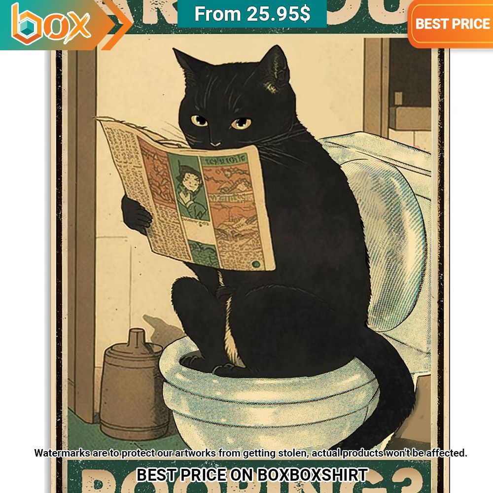 Black Cat Are You Pooping Funny Poster