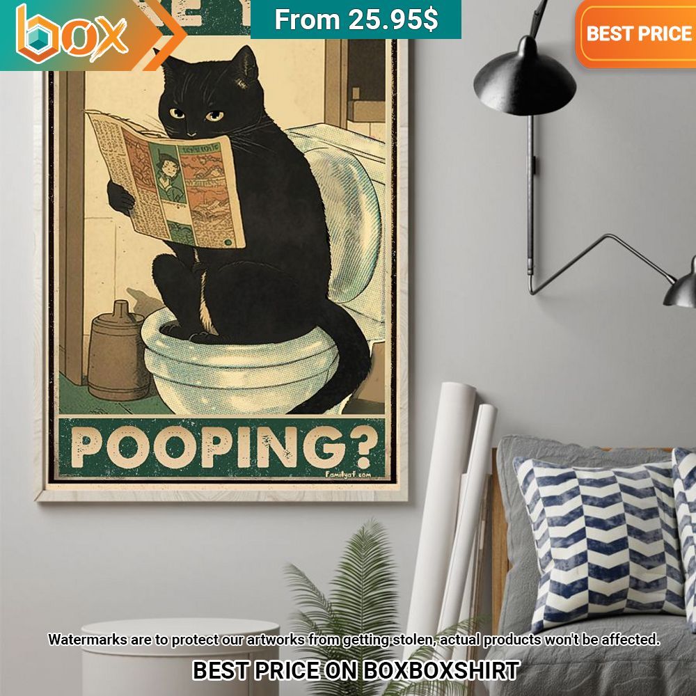 Black Cat Are You Pooping Funny Poster