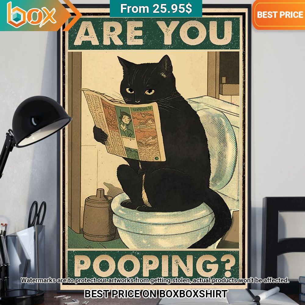 Black Cat Are You Pooping Funny Poster