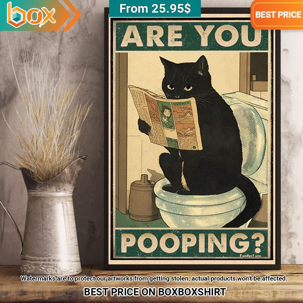 Black Cat Are You Pooping Funny Poster