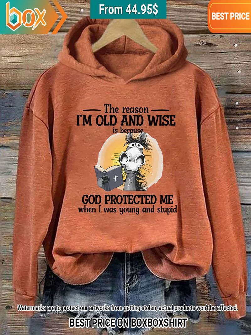 The reason I'm Old And Wise Is Because God Protected Me Donkey Orange Hoodie