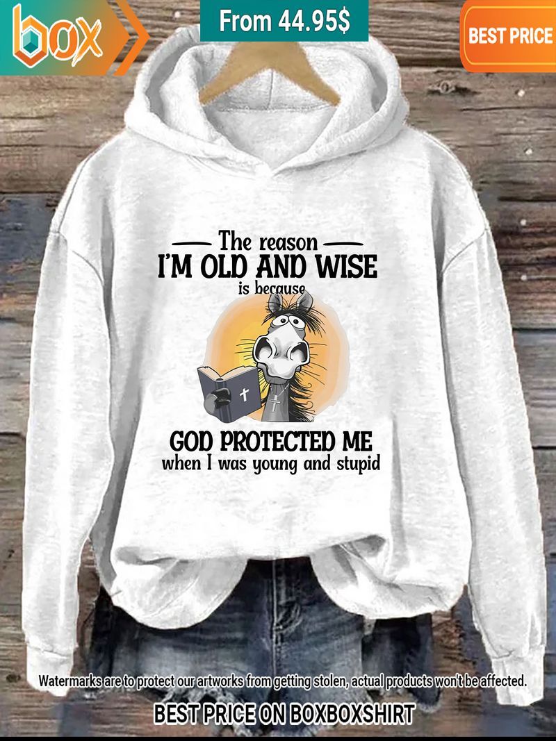 the reason im old and wise is because god protected me donkey hoodie 6 619.jpg