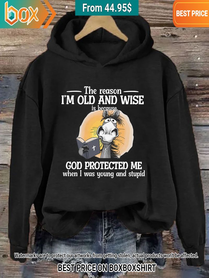the reason im old and wise is because god protected me donkey hoodie 7 951.jpg