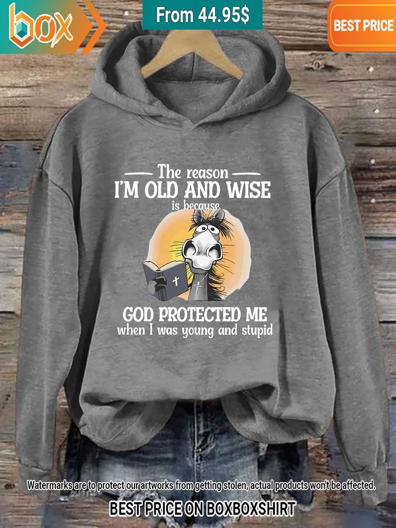 the reason im old and wise is because god protected me donkey hoodie 9 245.jpg