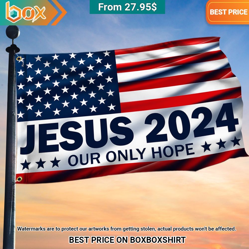 Jesus 2024 Our Only Hope American Flag Wow, cute pie