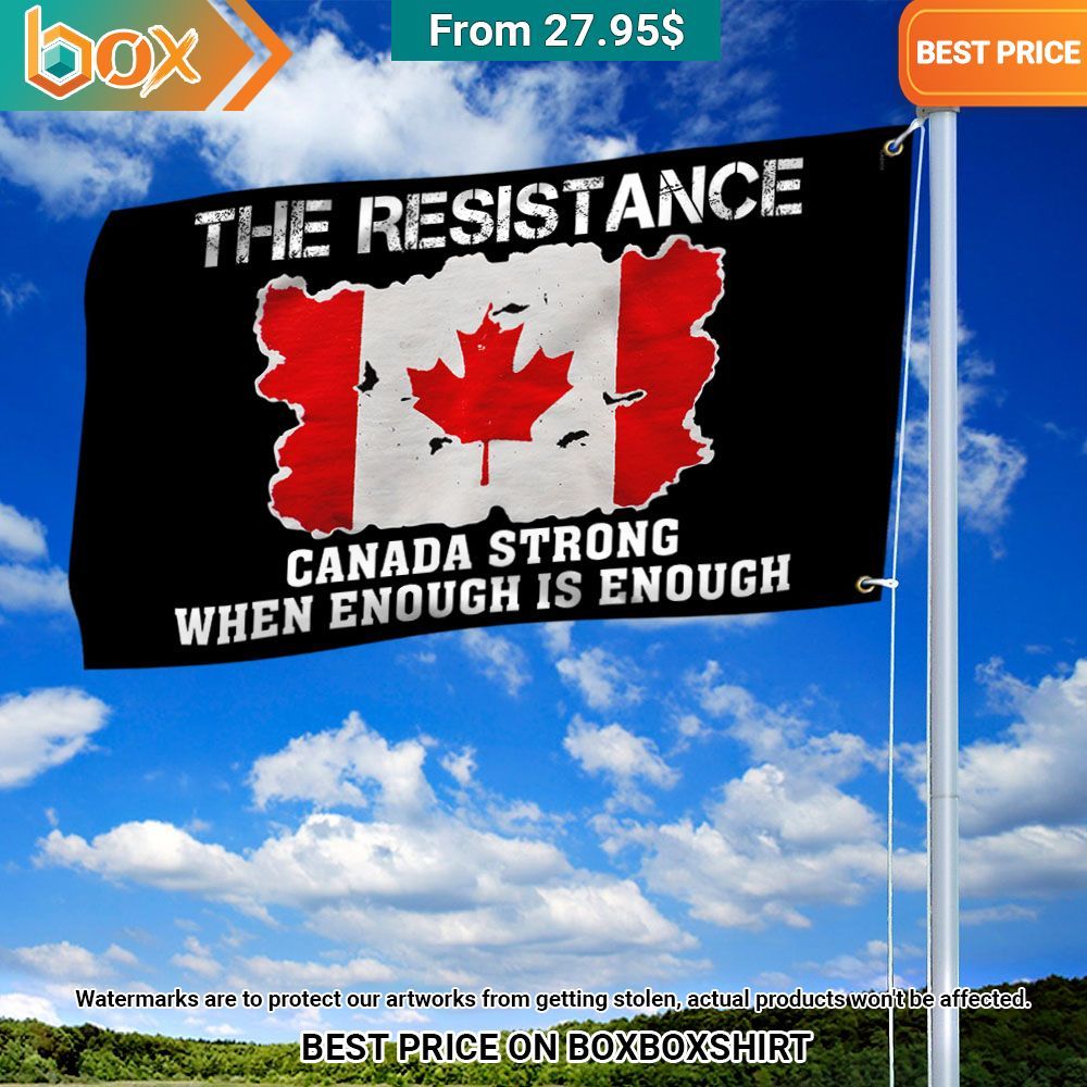 the resistance canada strong when enough is enough flag 2 376.jpg